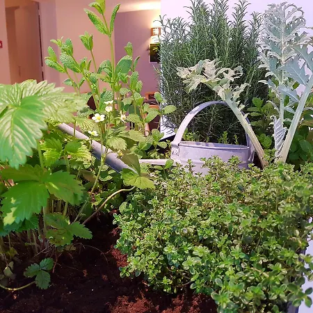 Beau Rivage 3* Nogent-sur-Seine